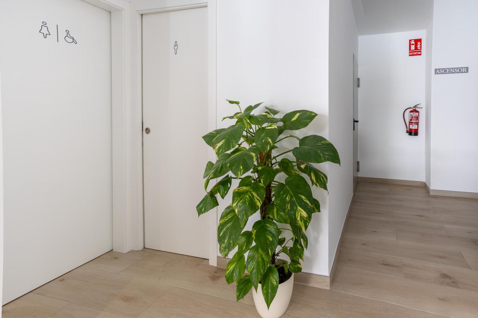 Hotel Oasis Centro Кониль-де-ла-Фронтера Экстерьер фото